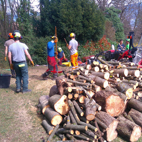 Baobab - Equipe